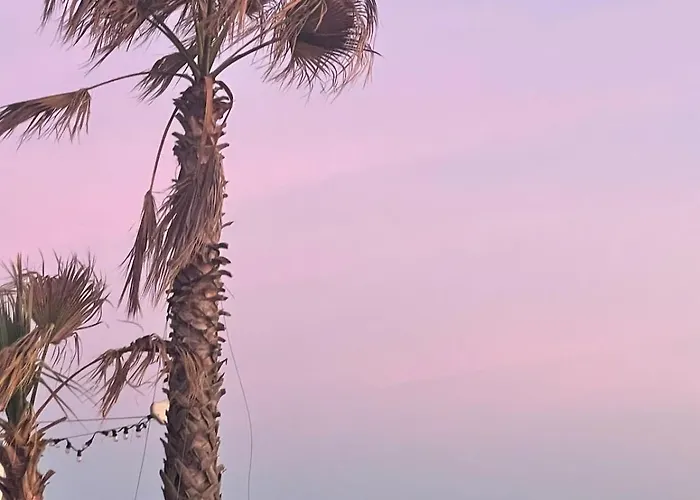 Cap D T4 Duplex Center Port Private Parking Wifi Air Conditioning